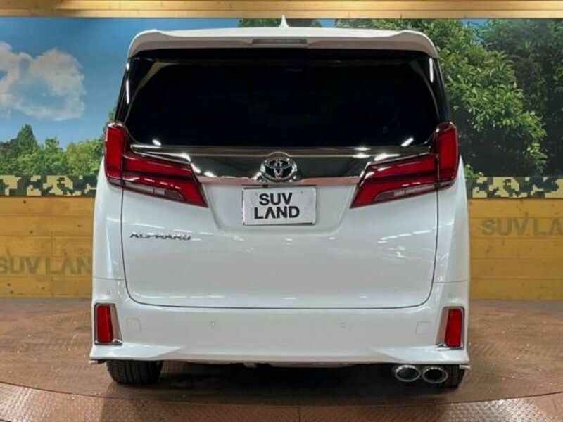 ALPHARD-18