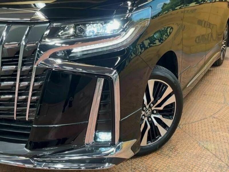 ALPHARD-14