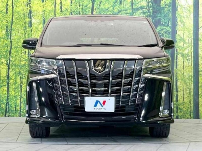 ALPHARD-15