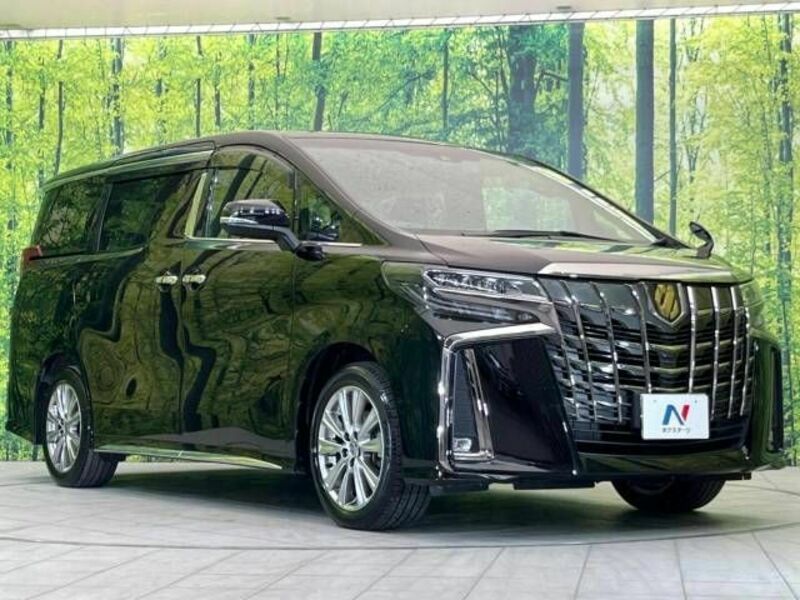 ALPHARD-17