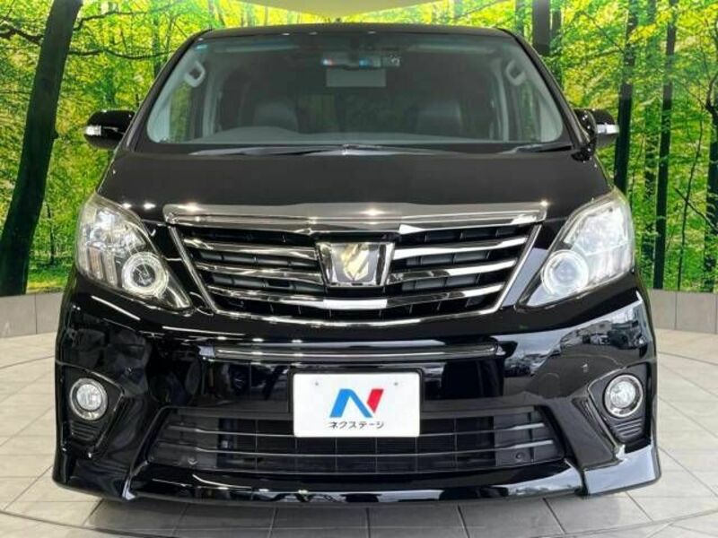 ALPHARD-14