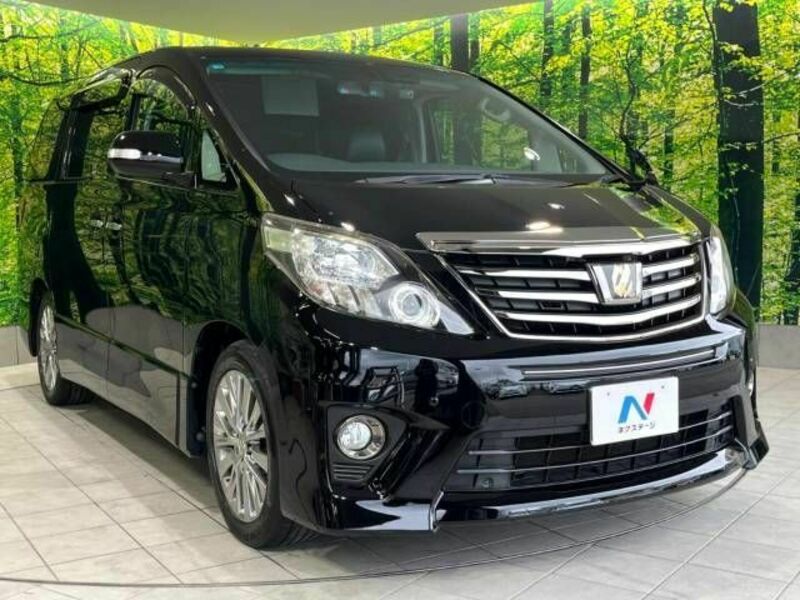 ALPHARD-16