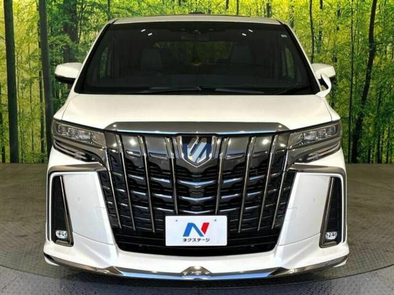 ALPHARD-15