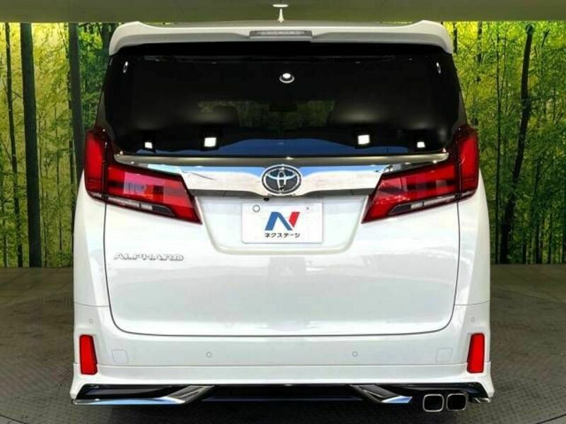 ALPHARD-16