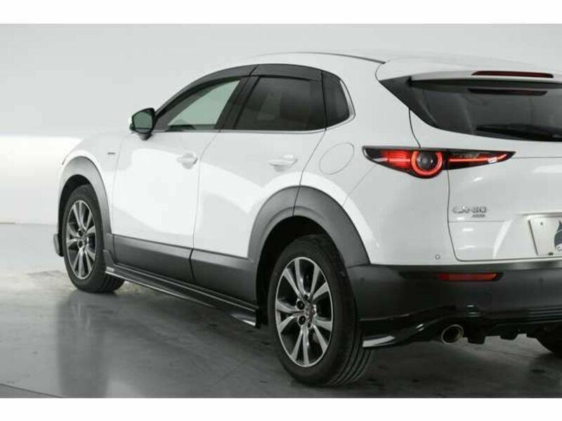 CX-30-6