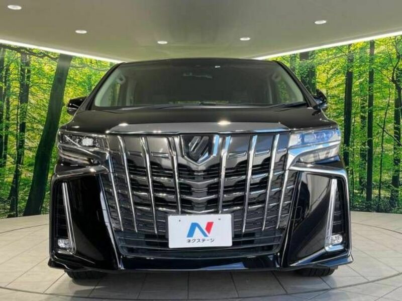 ALPHARD-15