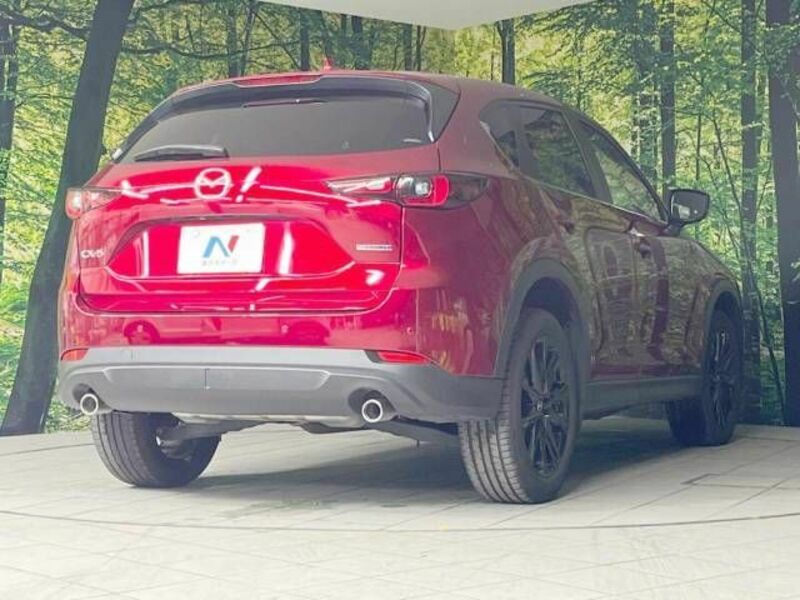 CX-5-17