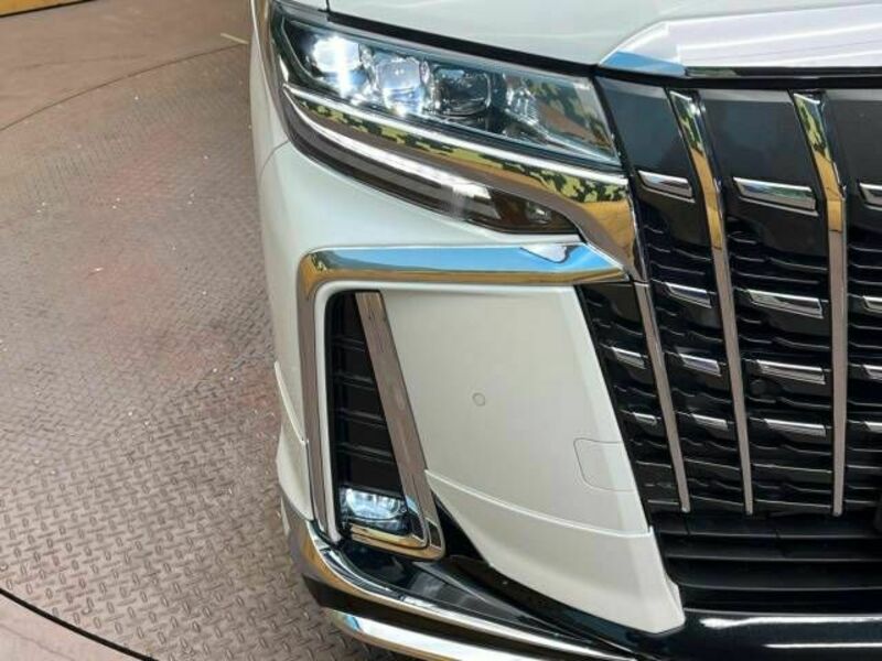 ALPHARD-13