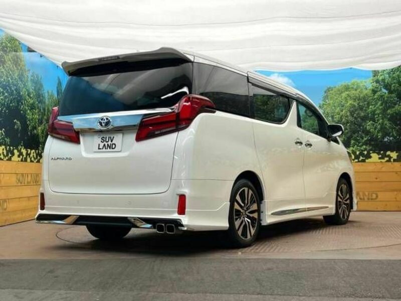 ALPHARD-18