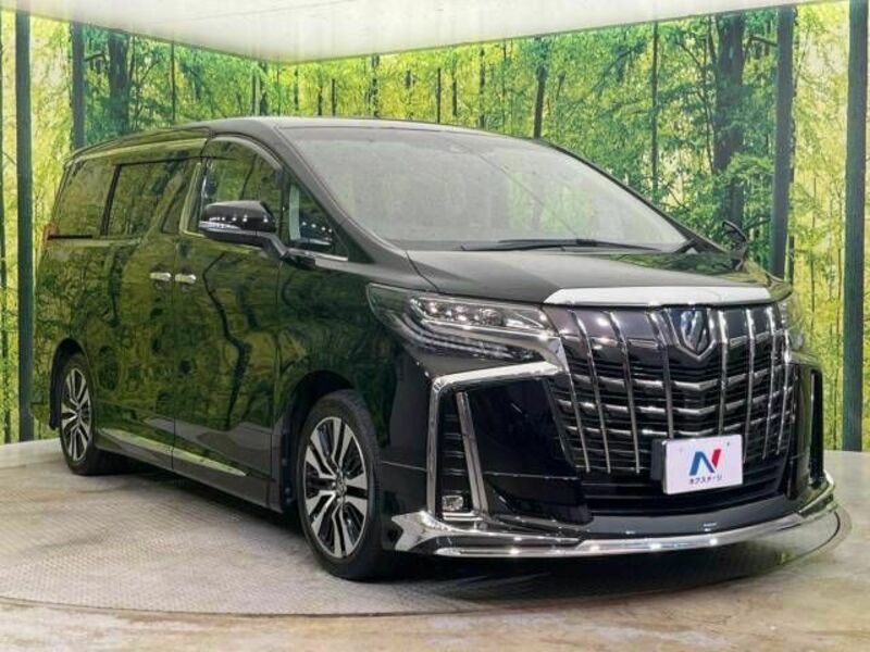 ALPHARD-16