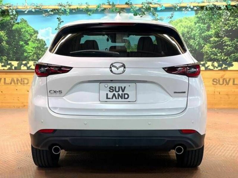 CX-5-17