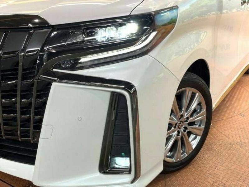 ALPHARD-14