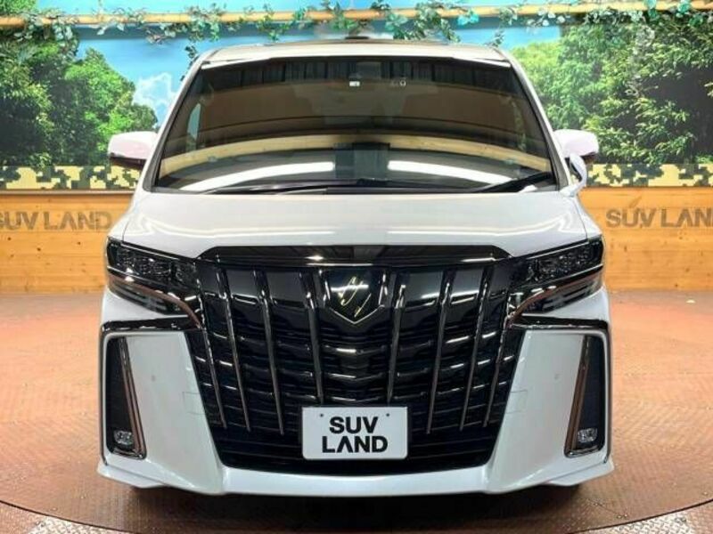 ALPHARD-16