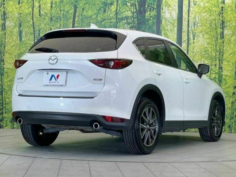 CX-5-17