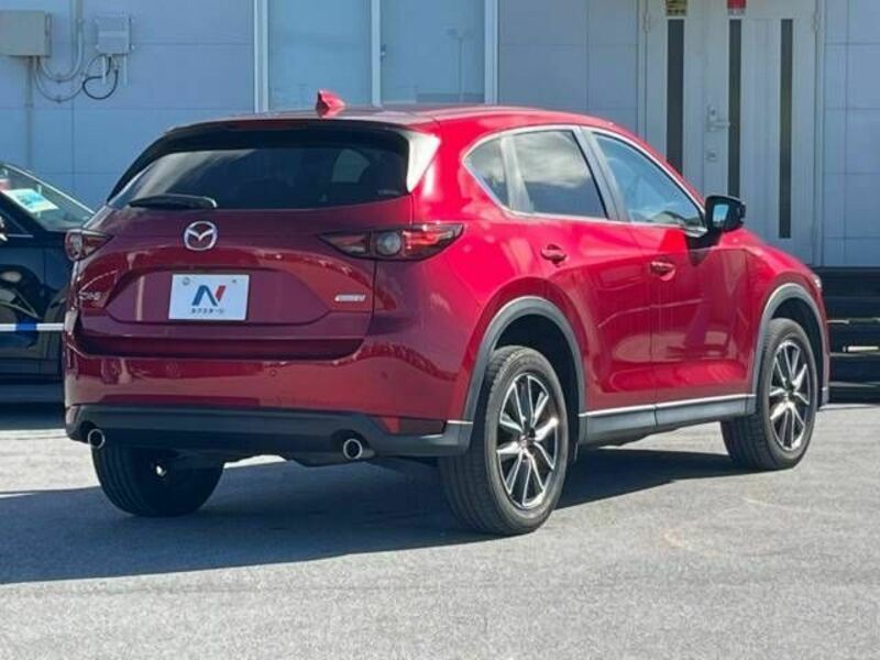 CX-5-19