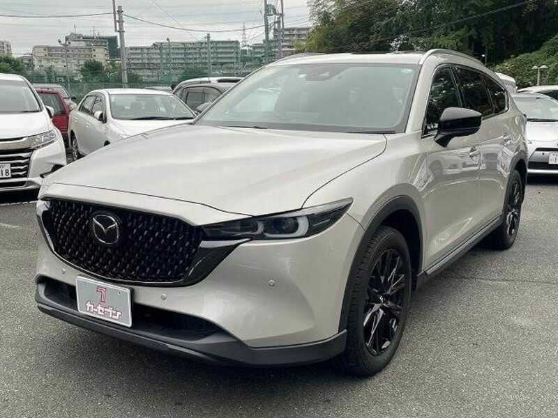 CX-8-18