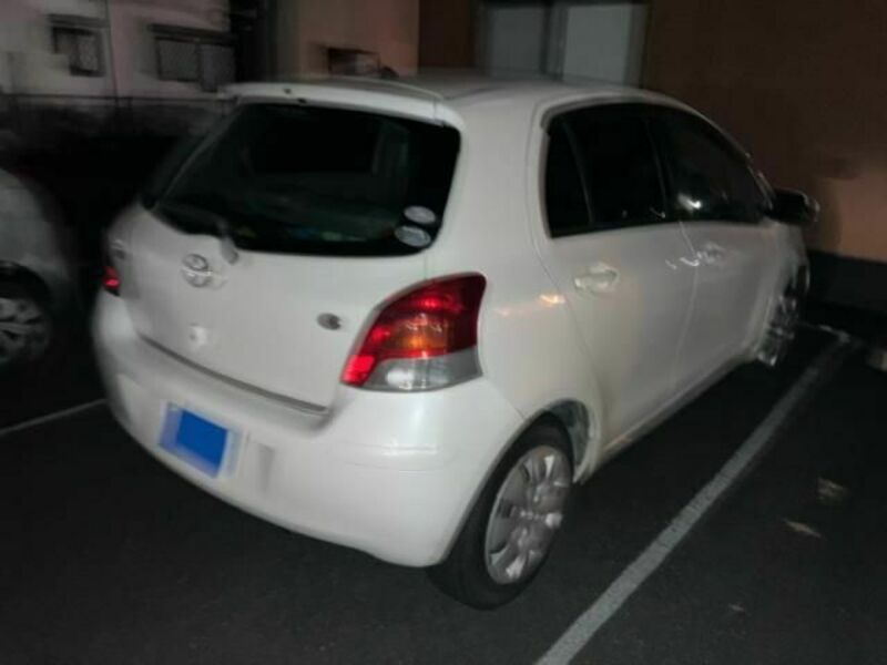 VITZ-2