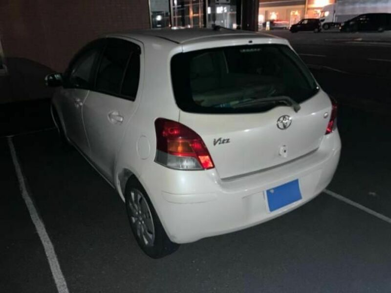 VITZ-3