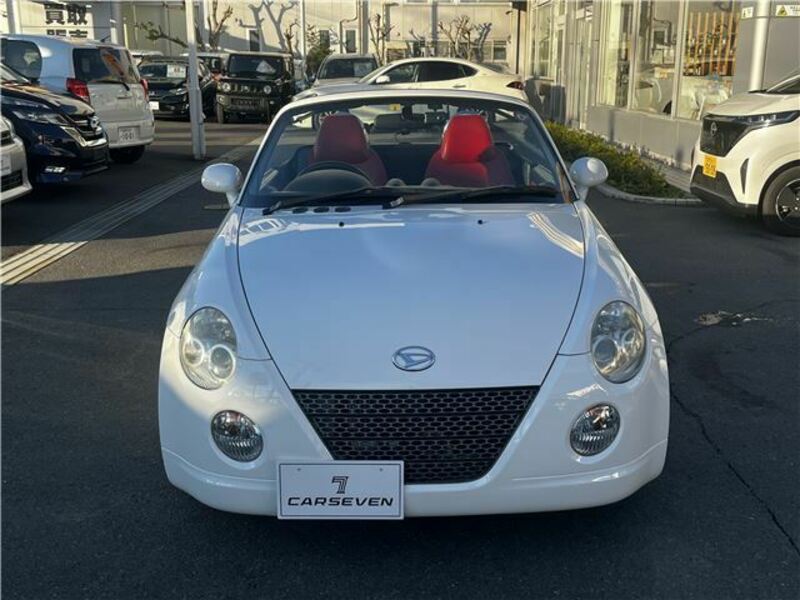 COPEN-29