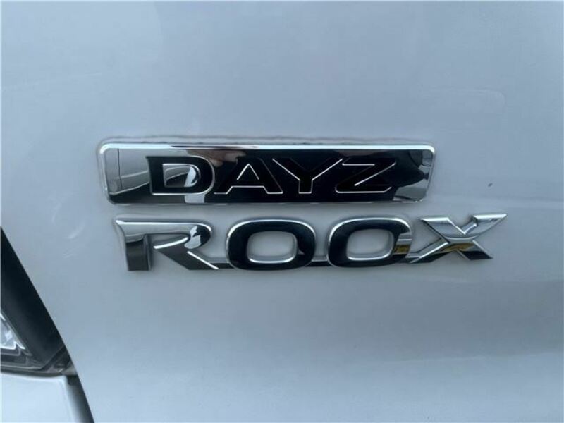 DAYZ ROOX-27