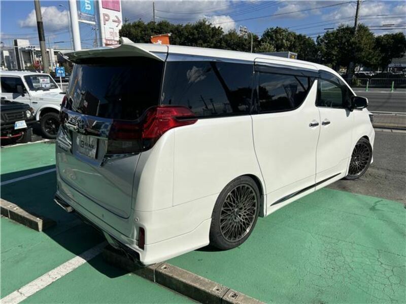 ALPHARD-13