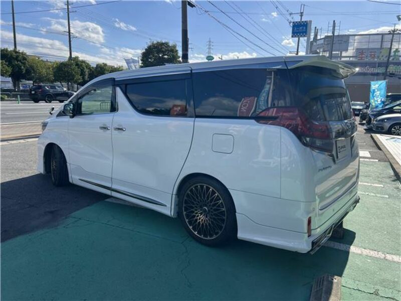 ALPHARD-17