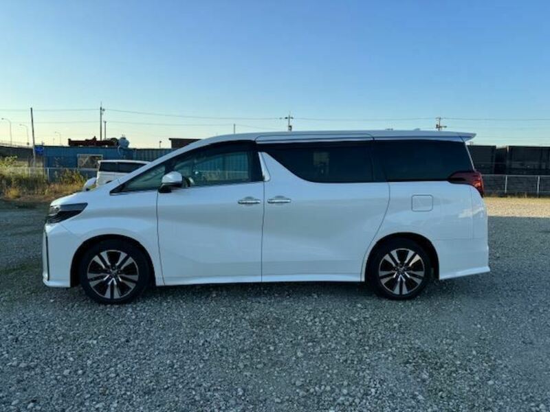 ALPHARD-16