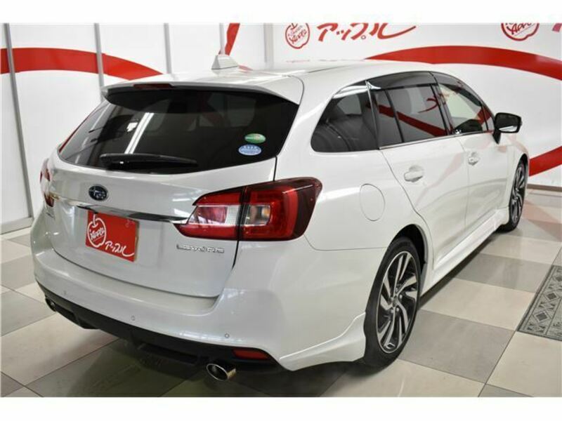 LEVORG-45