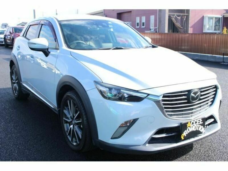 CX-3-8