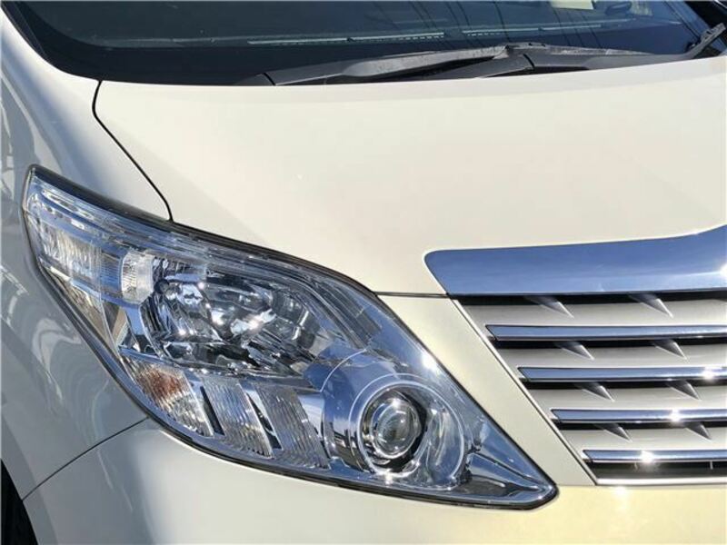 ALPHARD-44