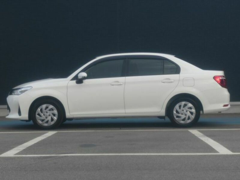 COROLLA AXIO-19