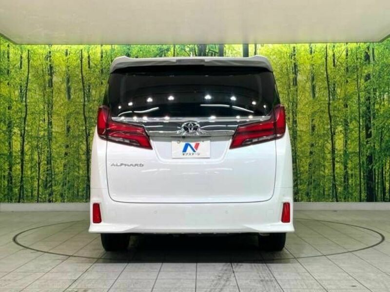 ALPHARD-16