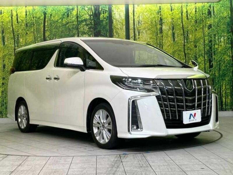 ALPHARD-17