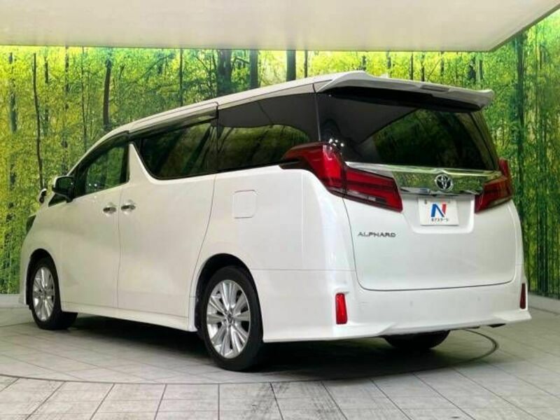 ALPHARD-18