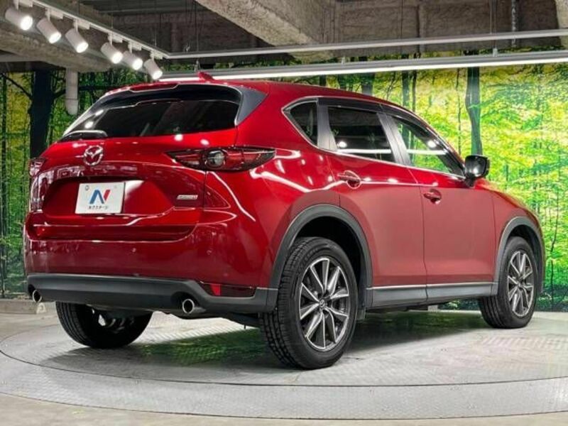 CX-5-17