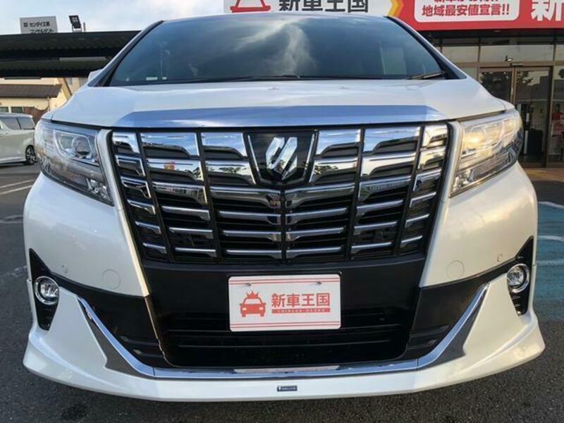 ALPHARD-10