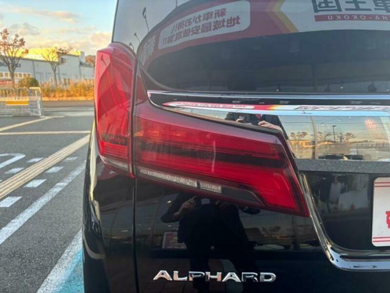 ALPHARD-10