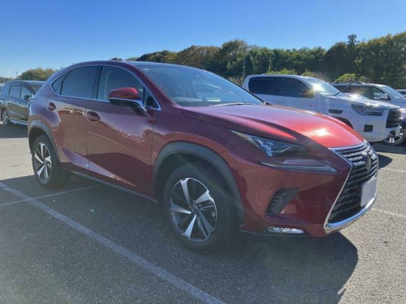 LEXUS NX