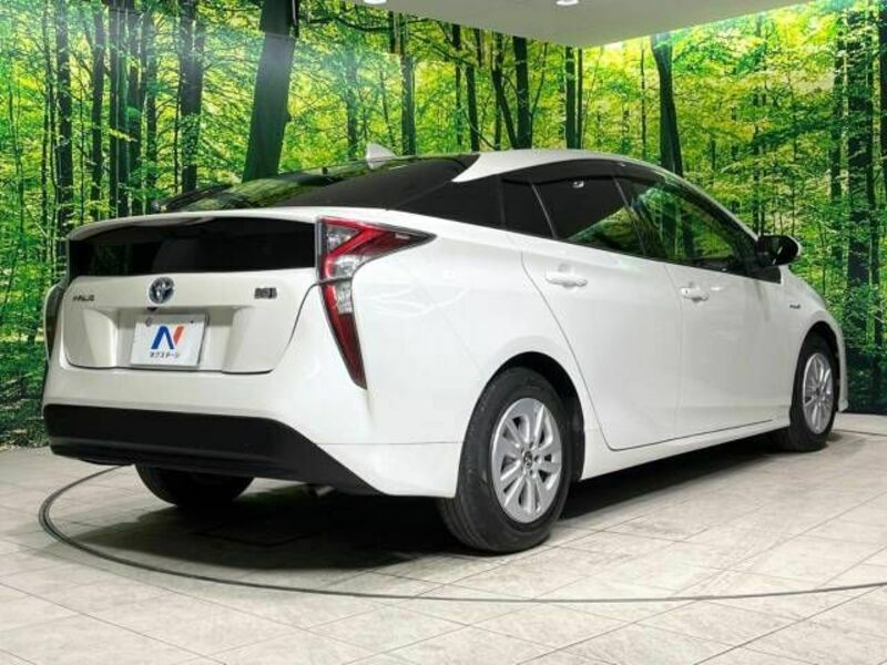 PRIUS-17