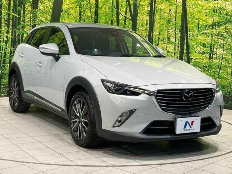 CX-3-17