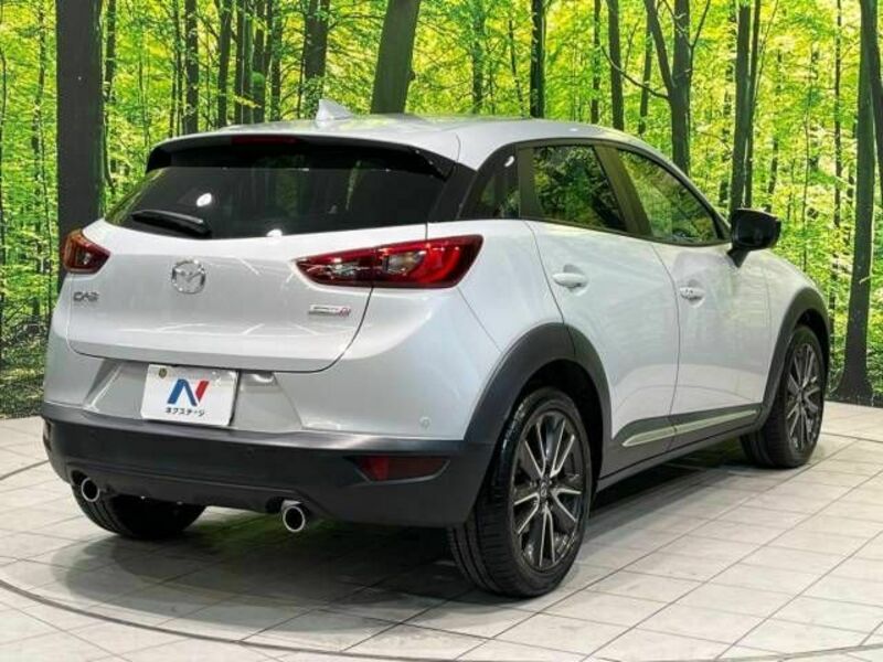 CX-3-18