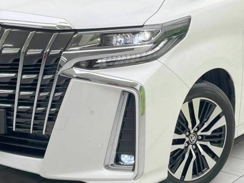 ALPHARD-13