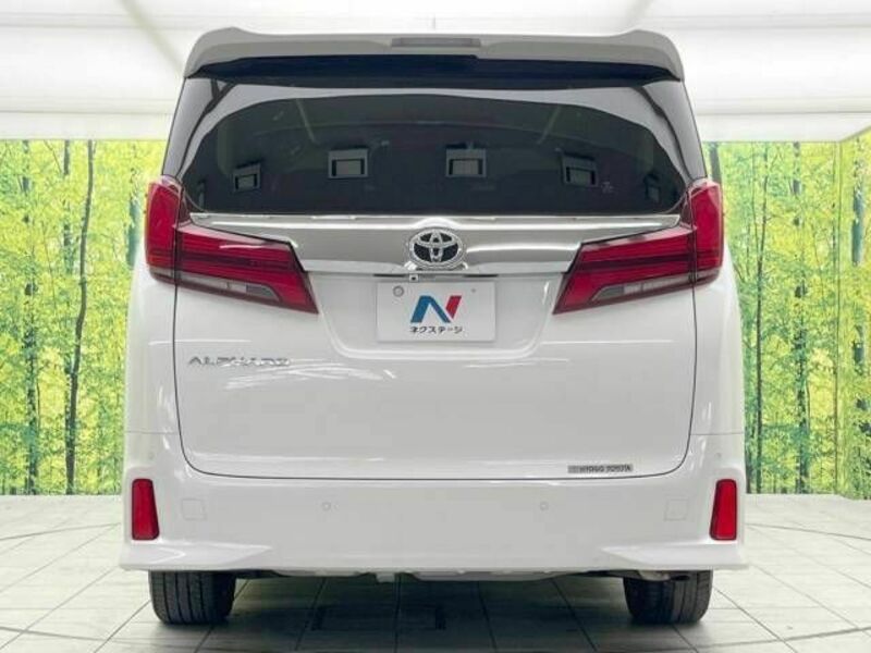 ALPHARD-16