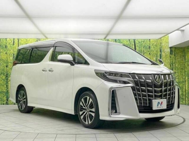 ALPHARD-17