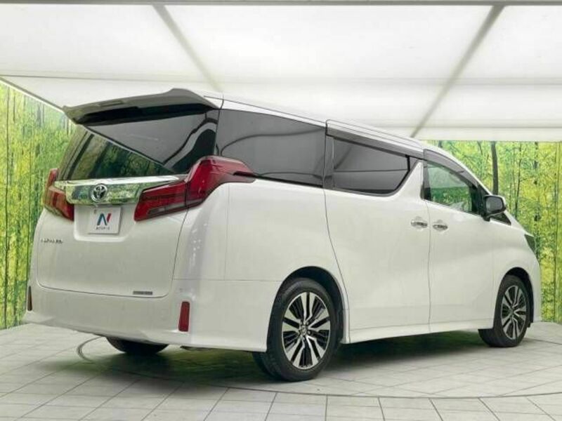 ALPHARD-18