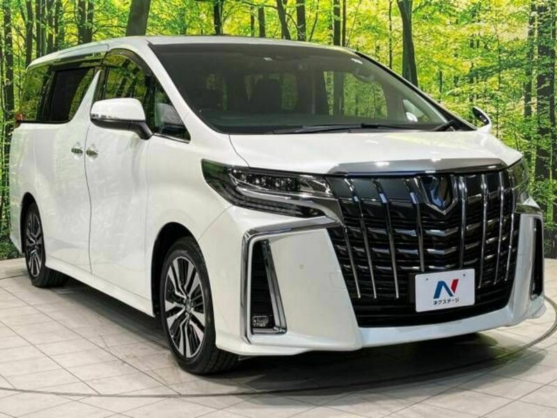 ALPHARD-16