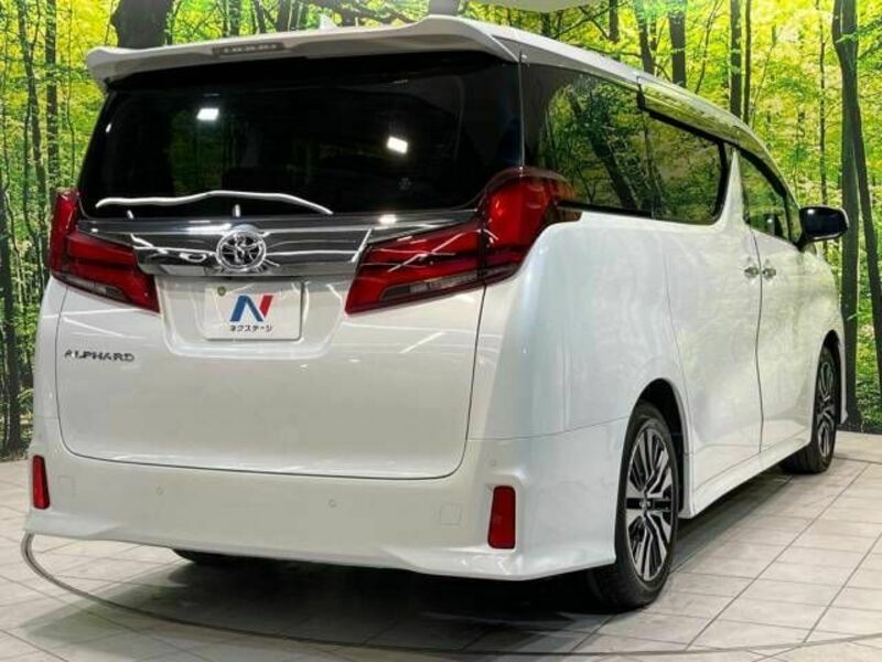 ALPHARD-17