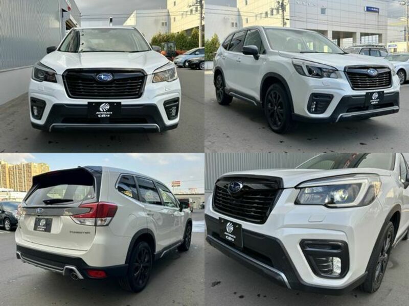 FORESTER-4