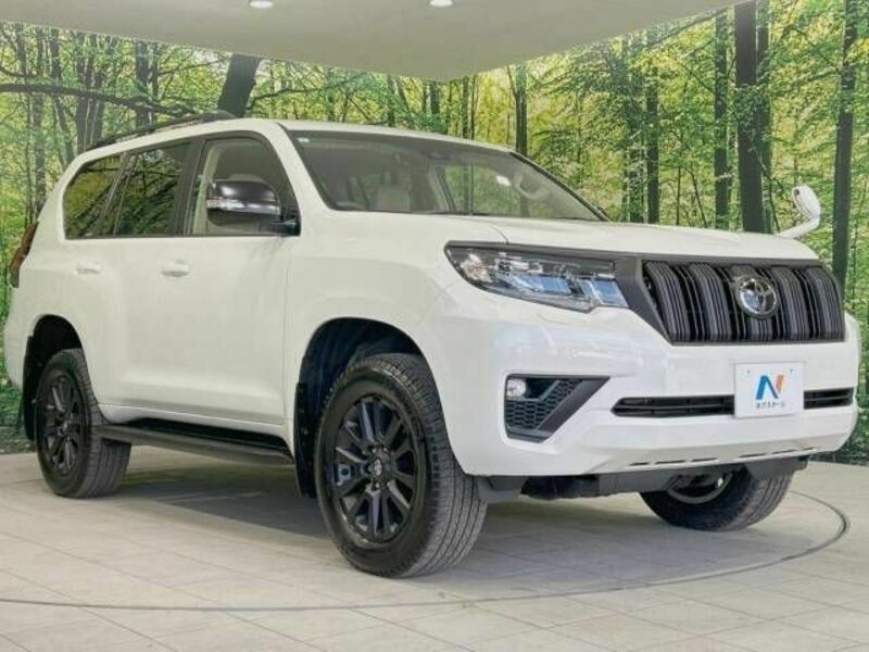 LAND CRUISER PRADO-17