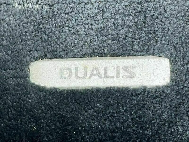 DUALIS-17